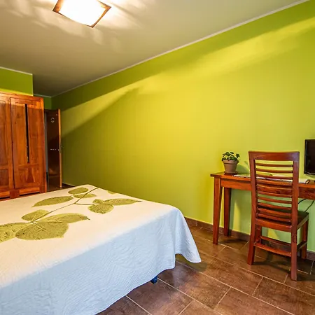 Korteta טולוסה