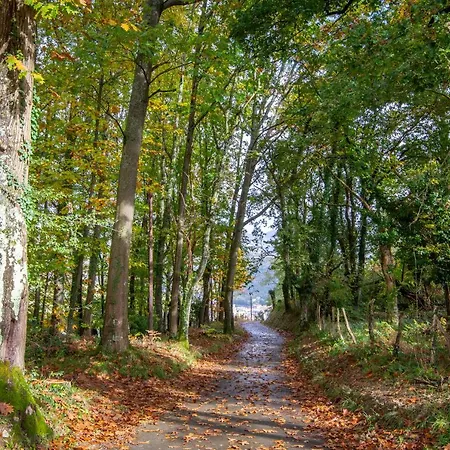 Korteta Hétvégi ház Tolosa
